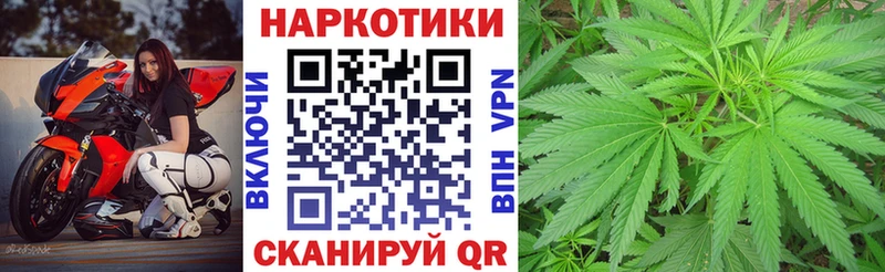 Как найти наркотики Шарья ГАШИШ  A PVP  КОКАИН  МЕФ  МАРИХУАНА 